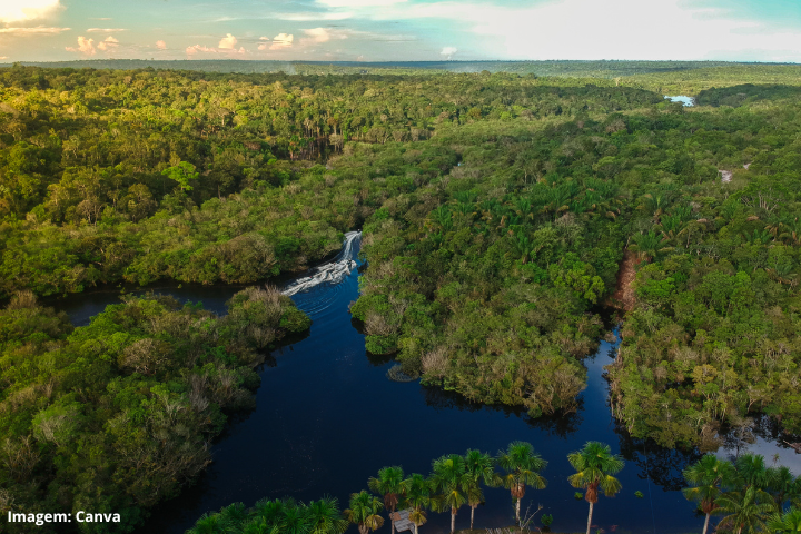 Amazônia portal