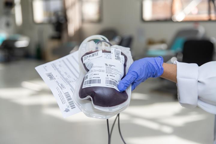 Profissional segura uma bolsa de sangue cheia com etiquetas de identificação e formulários.