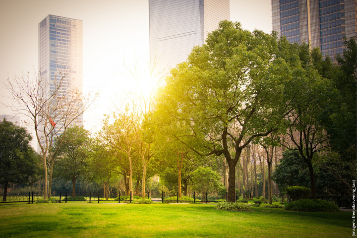 A imagem mostra um espaço urbano bem planejado, com um parque ou área verde em primeiro plano e prédios altos ao fundo. A luz do sol atravessa as copas das árvores, criando uma atmosfera acolhedora e serena. A grama está bem cuidada e há uma diversidade de árvores, algumas com folhagem densa e outras mais esparsas, indicando um ambiente arborizado e agradável.