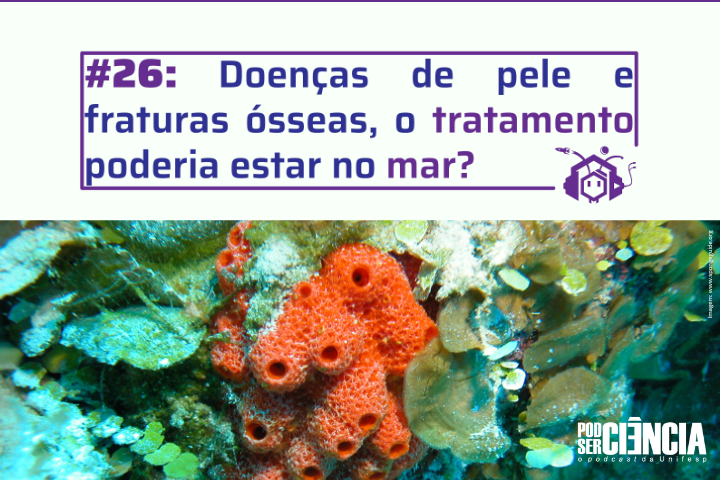 A imagem divulga o episódio #26 do podcast PodSerCiência, que discute o potencial de organismos marinhos, como esponjas, no desenvolvimento de tratamentos para doenças de pele e fraturas ósseas.