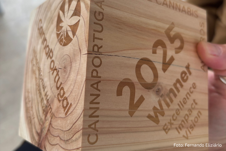 A imagem mostra um close-up de um troféu de madeira com inscrições gravadas a laser. O troféu é do evento CannaPortugal e está marcado com o ano 2025 e as palavras "Winner – Excellence, Impact, Vision". Também é possível ver o logotipo do evento e a frase "Cannabis Awards – CannaPortugal – International Hemp...". A madeira tem veios visíveis e uma leve rachadura. A foto é creditada a Fernando Elizário.