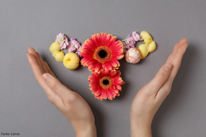 Imagem mostra duas mãos segurando flores que representam o aparelho reprodutor feminino